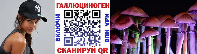 наркотики  darknet какой сайт  Галлюциногенные грибы мицелий  Пенза 